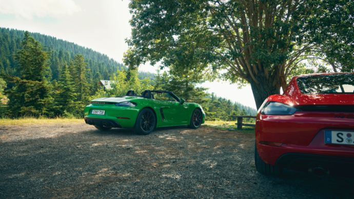 718 GTS 4.0 models, 2020, PCNA