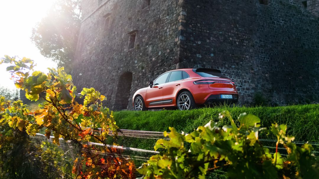 De quoi satisfaire tous les goûts