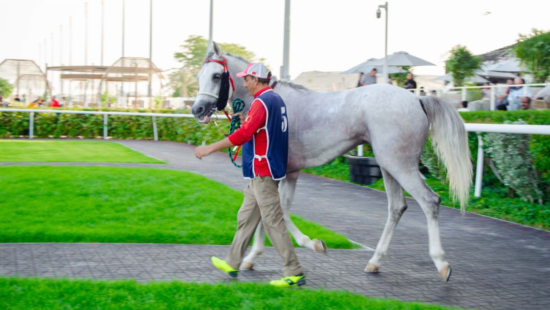 Porsche Bahrain partners with Rashid Equestrian & Horseracing Club for a prestigious race day